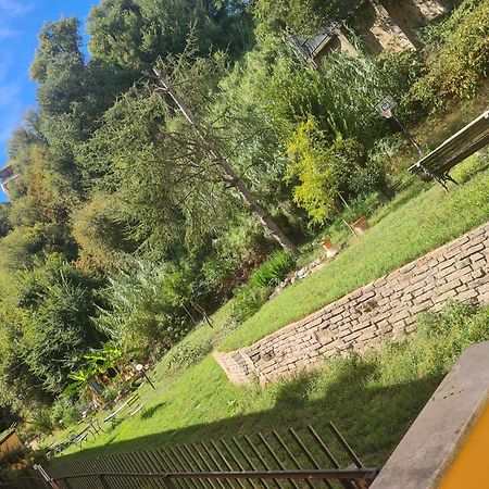 La Casa Di Nonna Peppina A Trastevere 罗马 外观 照片